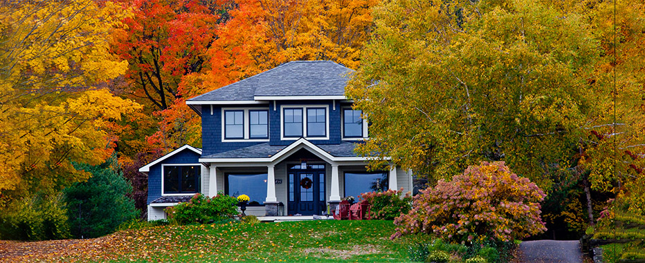 johnson-banner-home